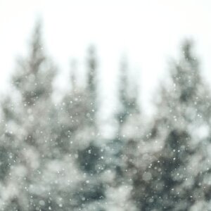 Thumbnail of new posts 160